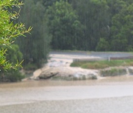 mud washing into Lane Cove River from Boronia Park Oval 3