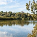 some of what we have in Hunters Hill Image:  Lane Cove River and Lovetts Reserve